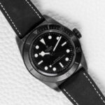 Tudor Black Bay 79210CNU