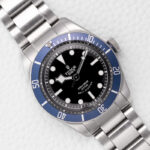 Tudor Black Bay 79220B
