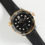 Omega Seamaster 21022422001001