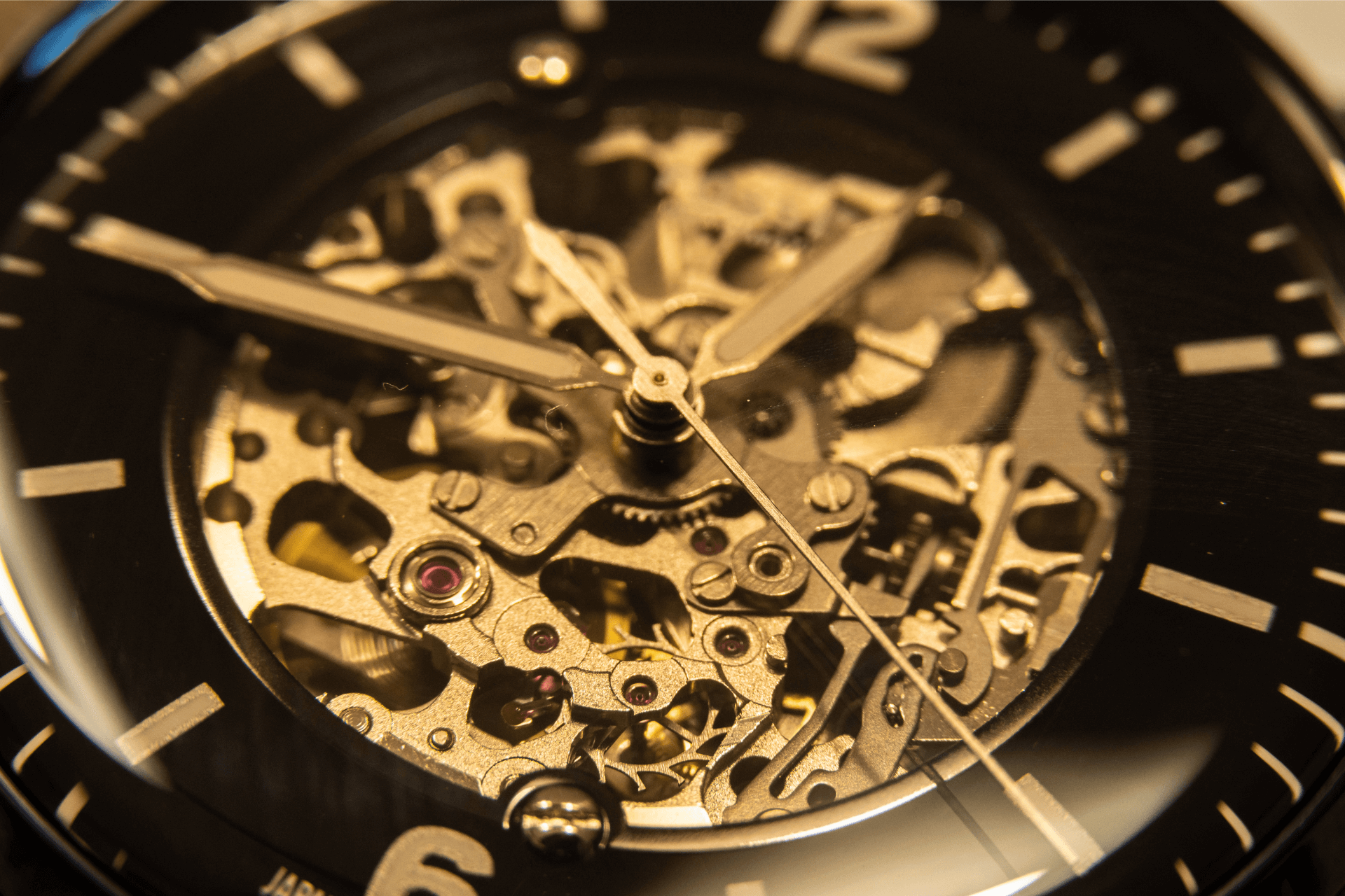 Innovative Luxury Watch Sold at Wolvyn